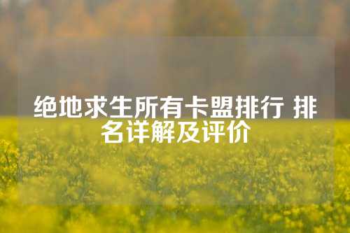 《绝地求生所有卡盟的排行及评价》排行榜