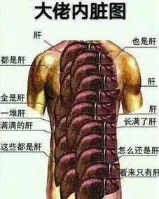 《绝地求生》发售至今憋出的大招：你说你马